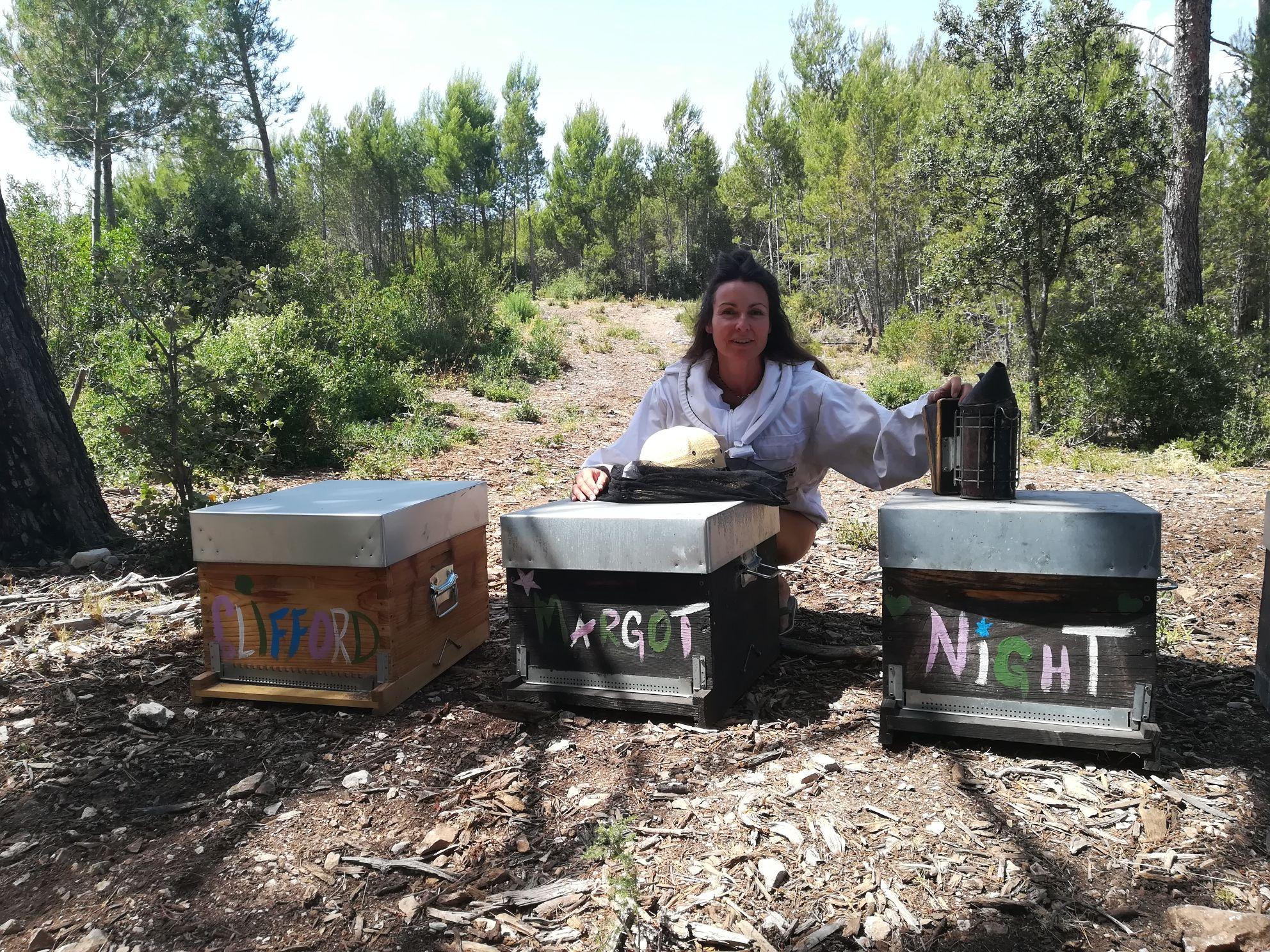 Sortie nature : D�couverte d'une ruche