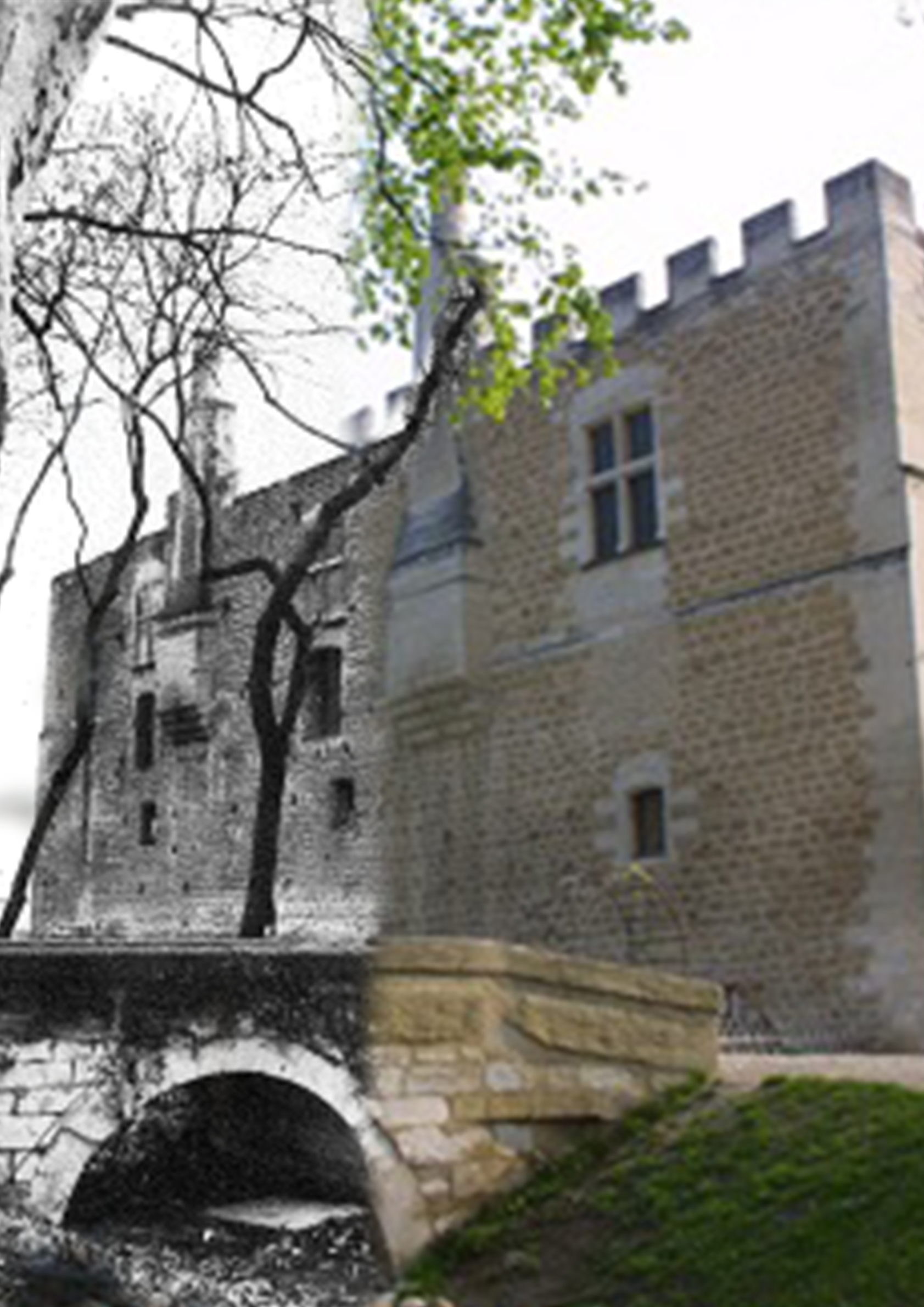 � la d�couverte du Ch�teau de Fargues