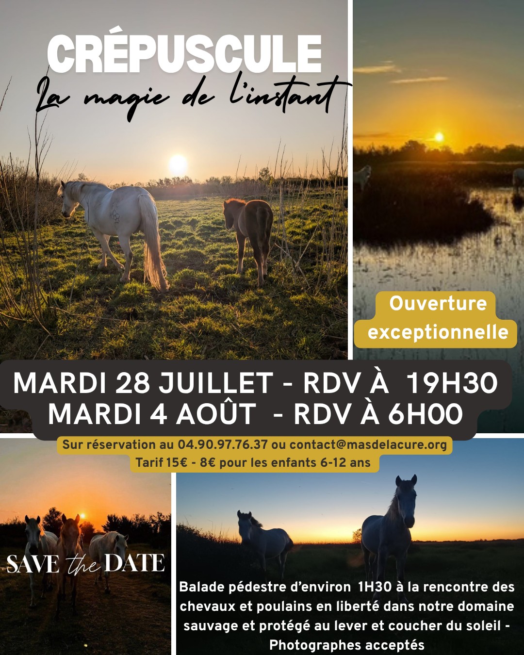 Sorties Nature Immersives Cr�pusculaires