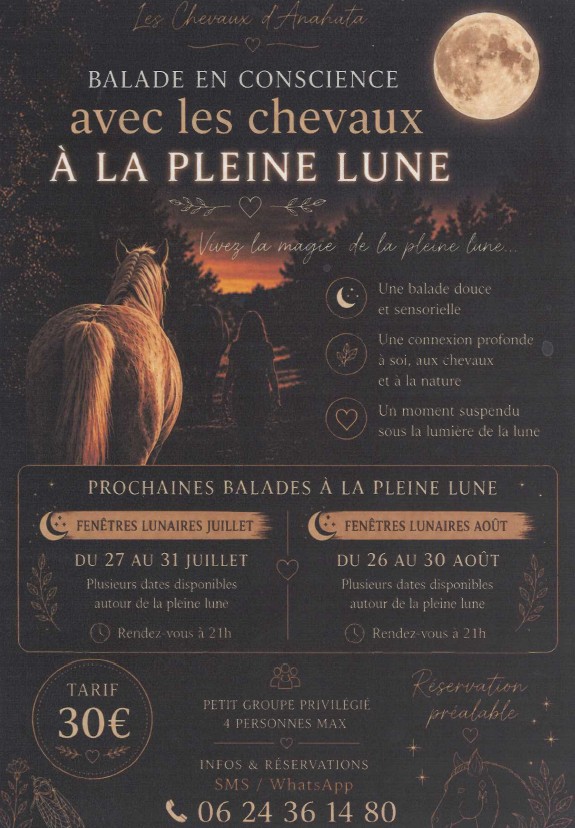 Balade en conscience avec les chevaux � la pleine lune