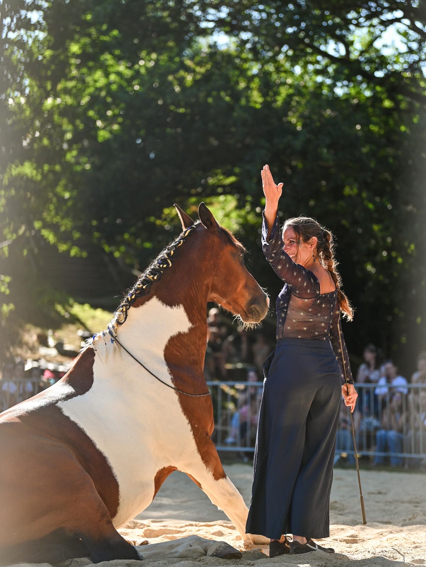 Spectacle �questre