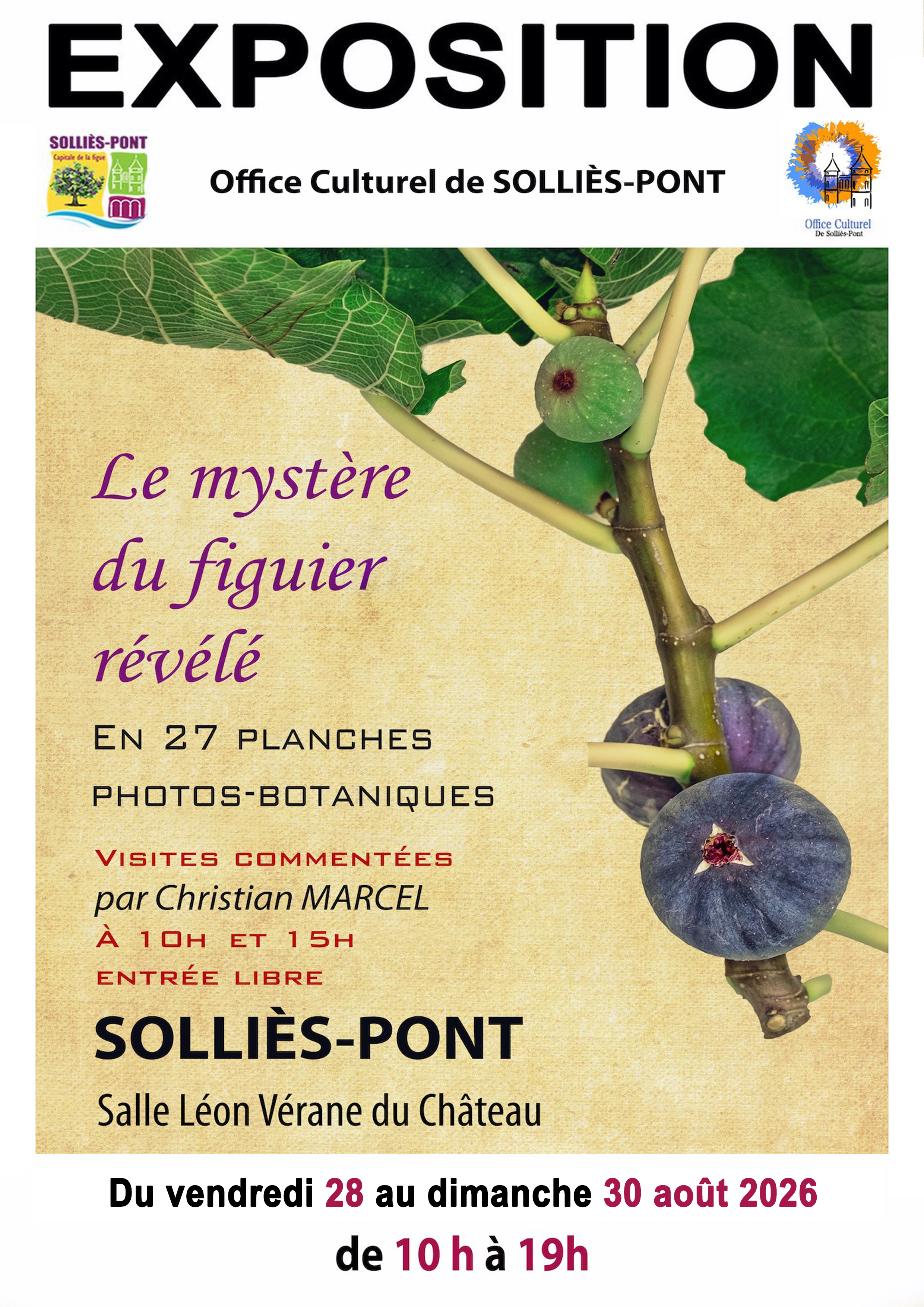 Exposition : Le myst�re du figuier r�v�l�