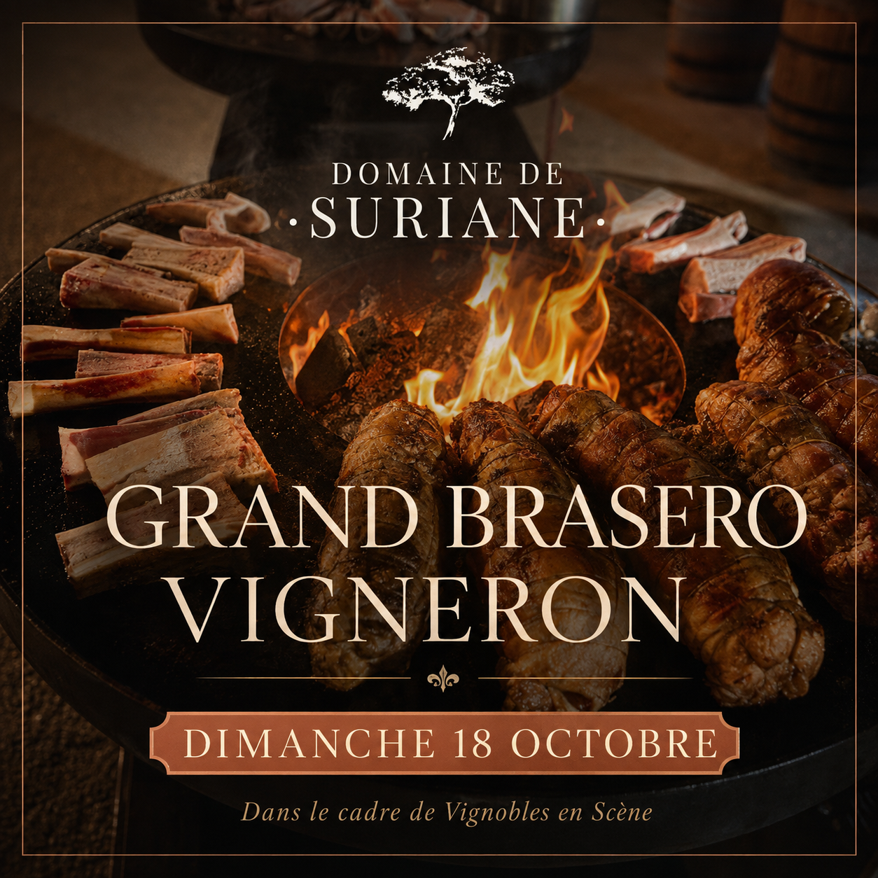 Vignobles en sc�ne au Domaine de Suriane
