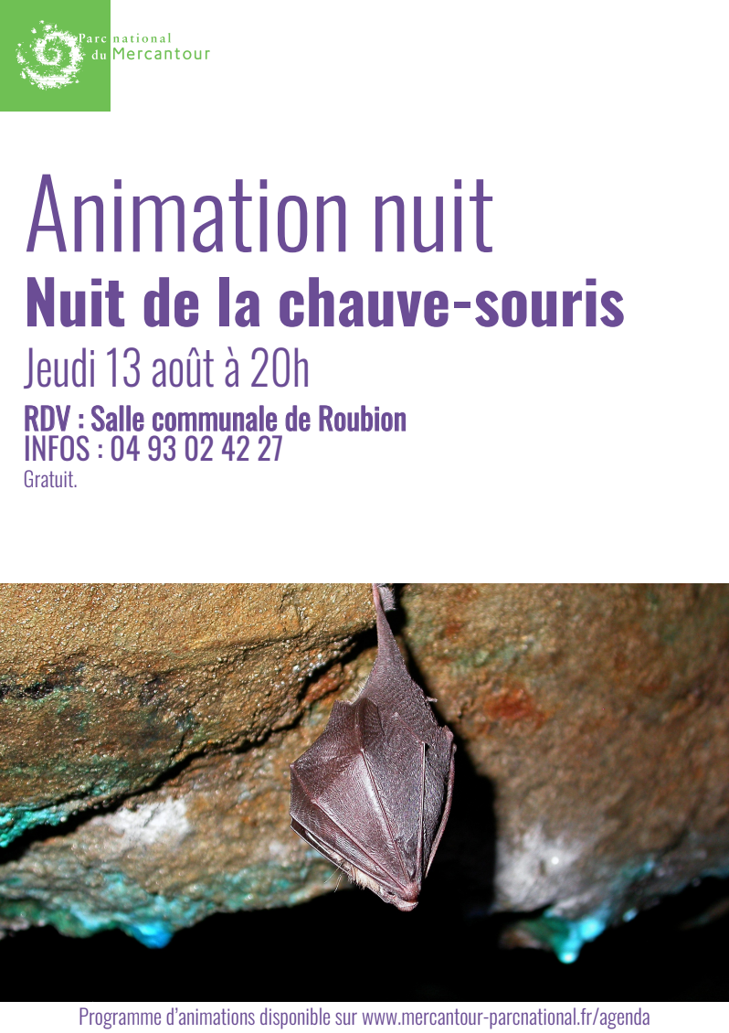 Nuit de la chauve-souris