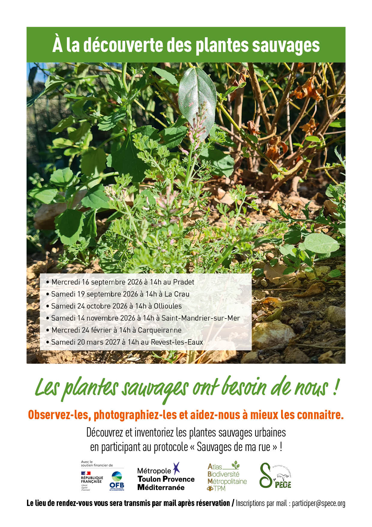 Sortie nature - � la d�couverte des plantes sauvages