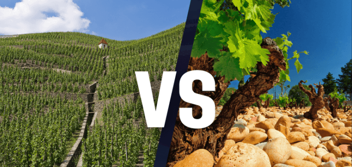 Atelier �cole des Vins - D�couverte des Crus des C�tes du Rh�ne