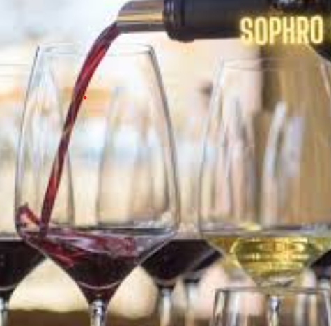 Atelier �cole des Vins - D�tente dans les vignobles de la Vall�e du Rh�ne