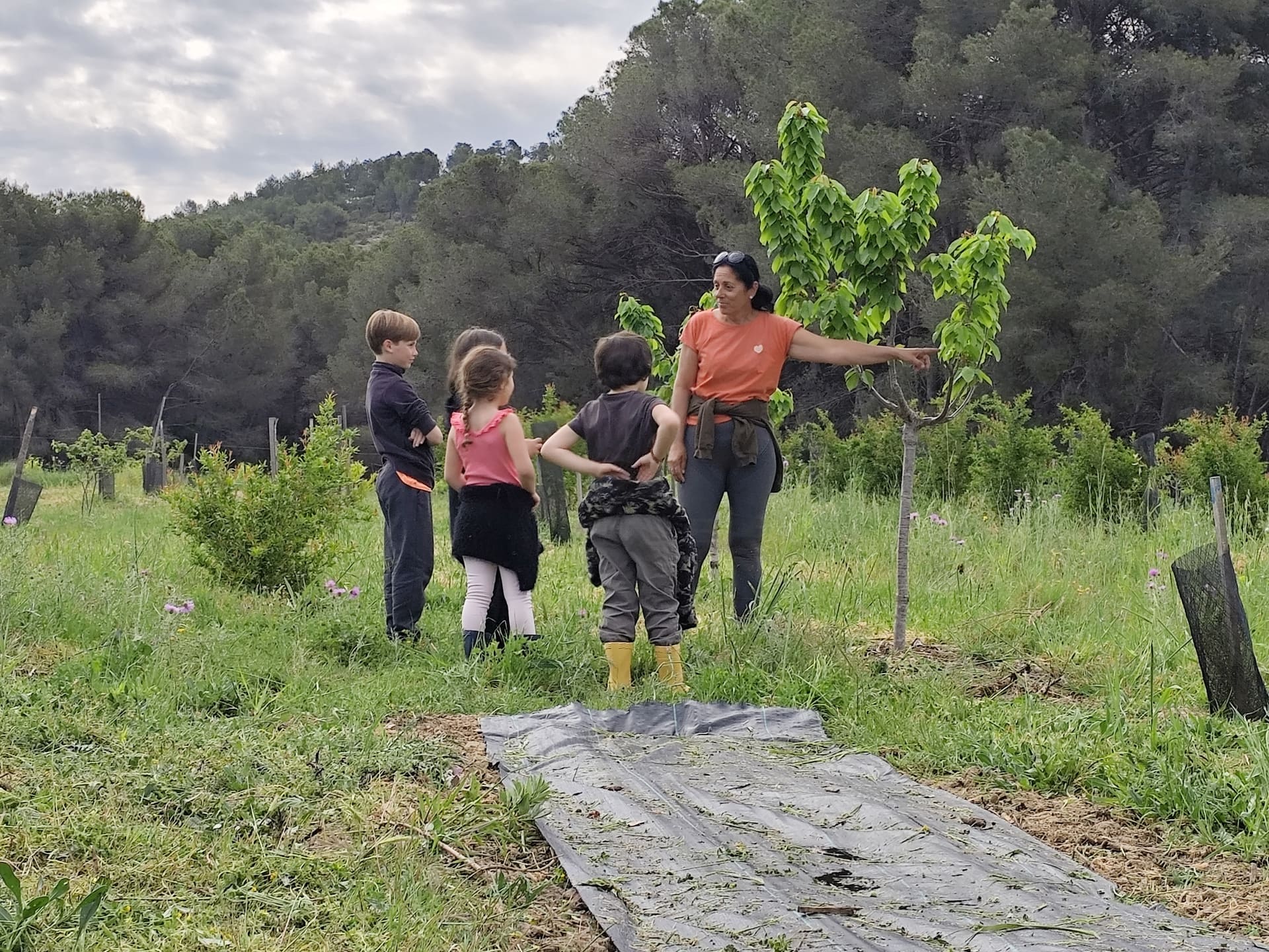 Cueillette de grenades � Martigues : D�gustation et r�colte en famille