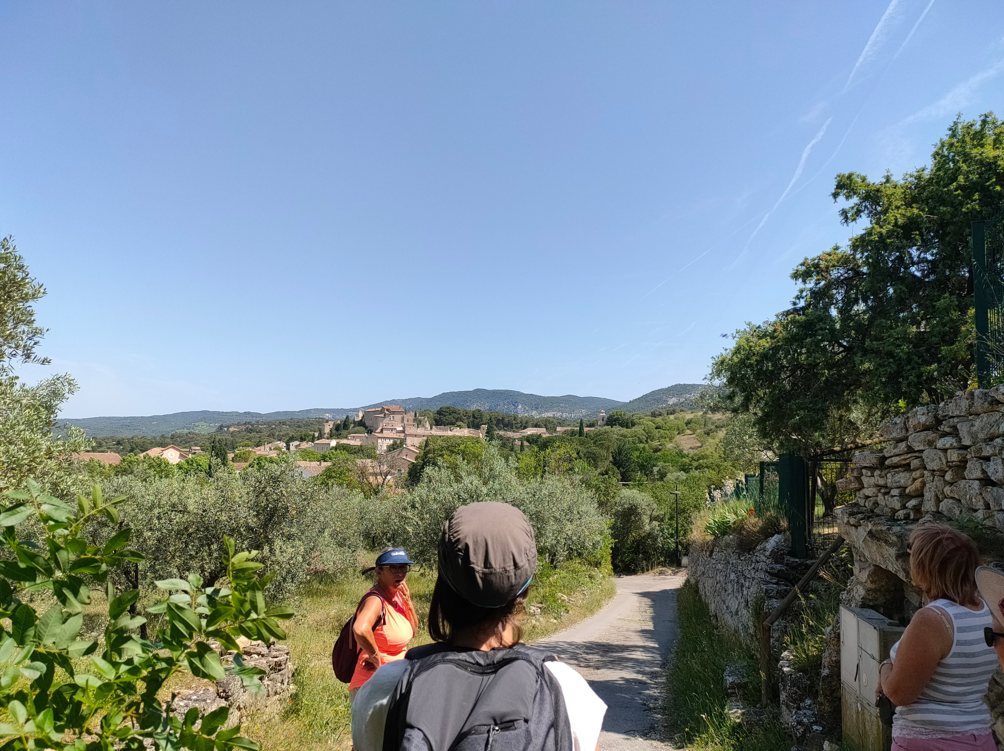 Balade comment�e : � la rencontre des paysages vauclusiens