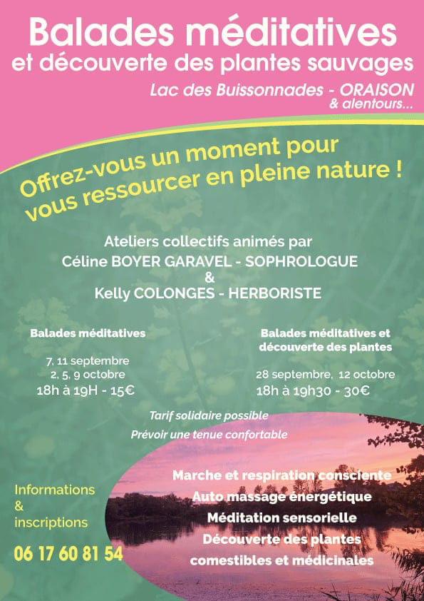 Balades m�ditatives et d�couverte des plantes sauvages