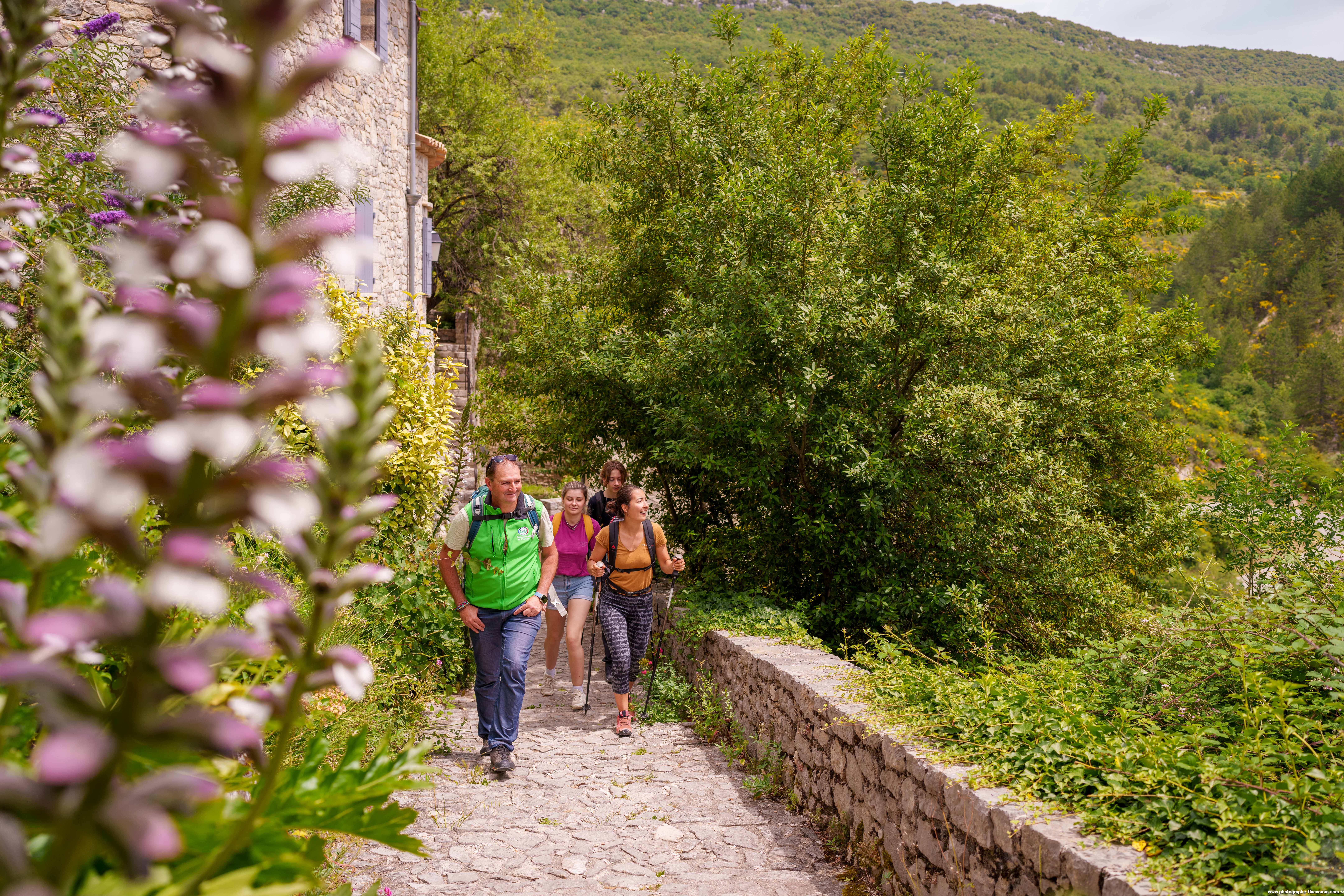 Festival Ventoux Saveurs - Randonn�es et repas au pied du Ventoux