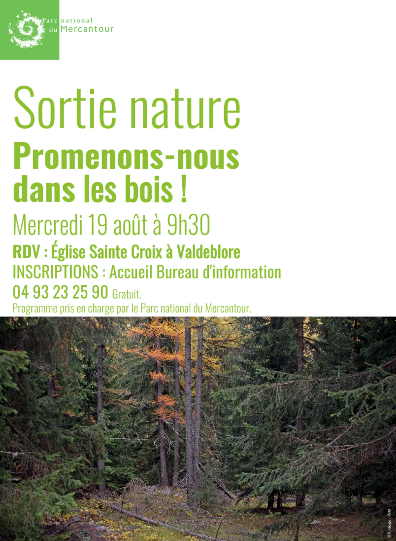 Promenons-nous dans les bois !