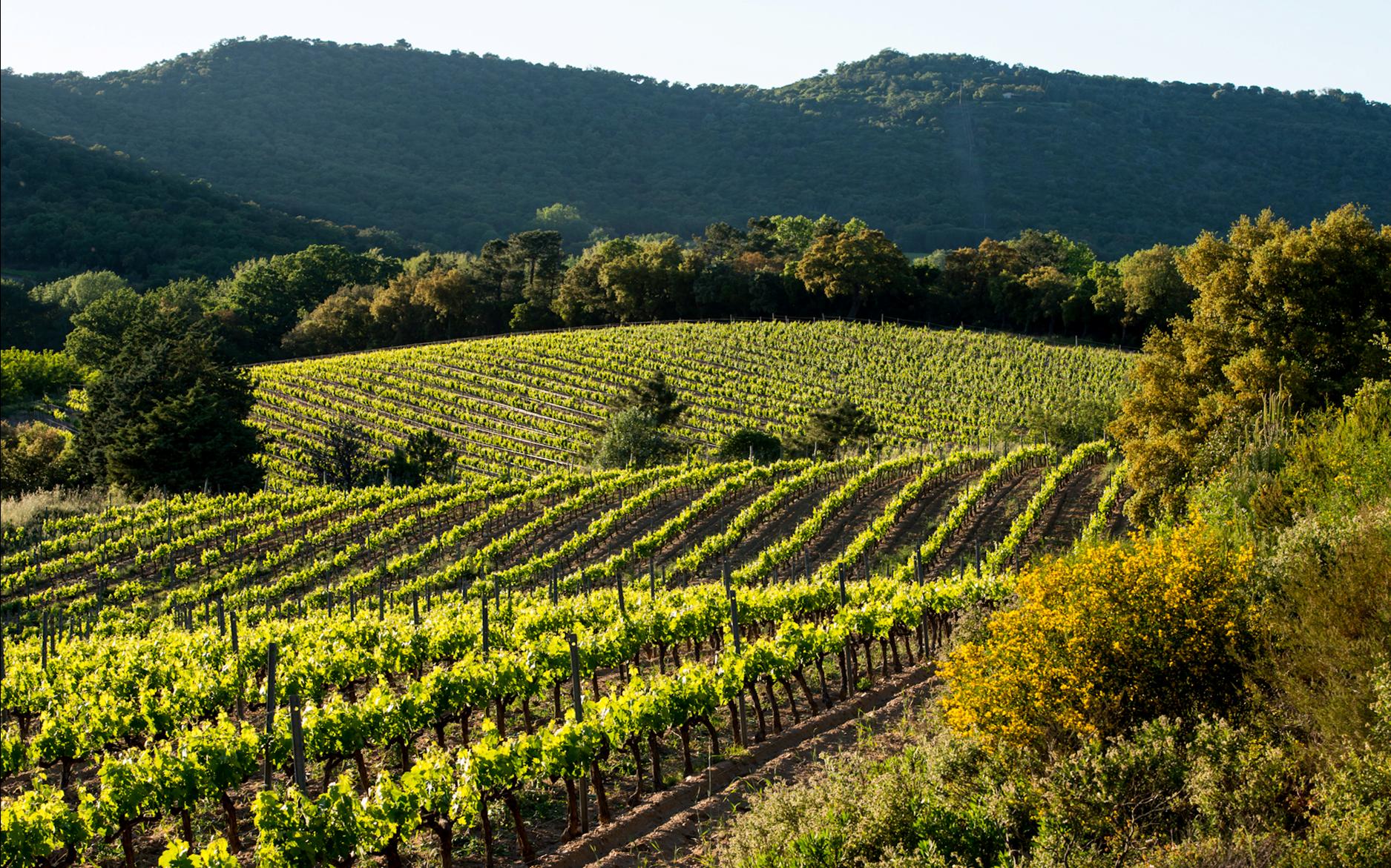 Journ�es du patrimoine : Domaine du Val d'Astier