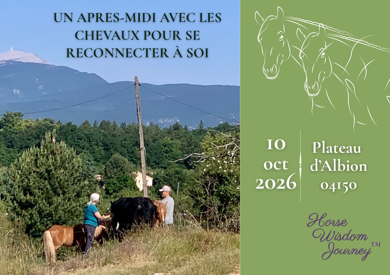 Apr�s-midi avec les chevaux pour se reconnecter � soi