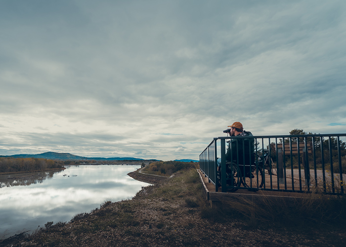 Journ�es Nationales Tourisme et Handicap : Balade sur les traces des oiseaux