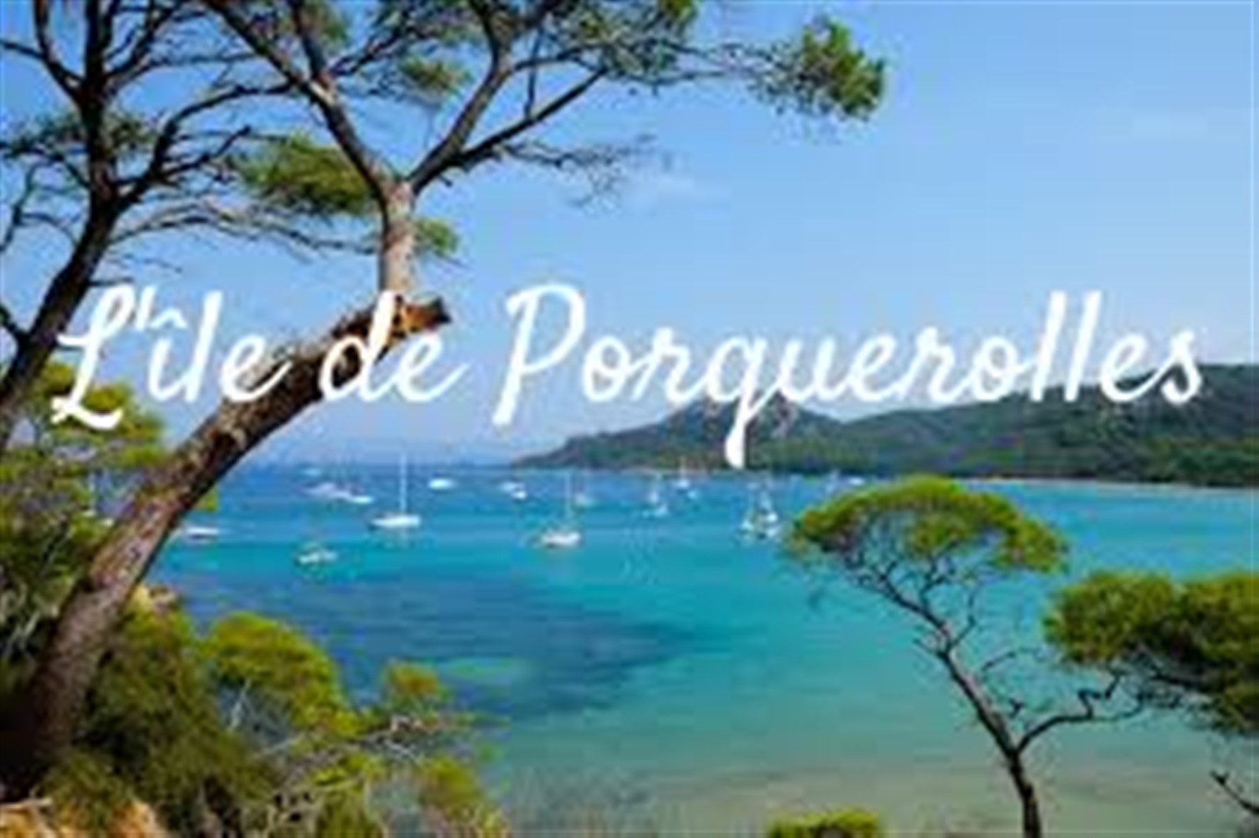 Randonn�e � Porquerolles