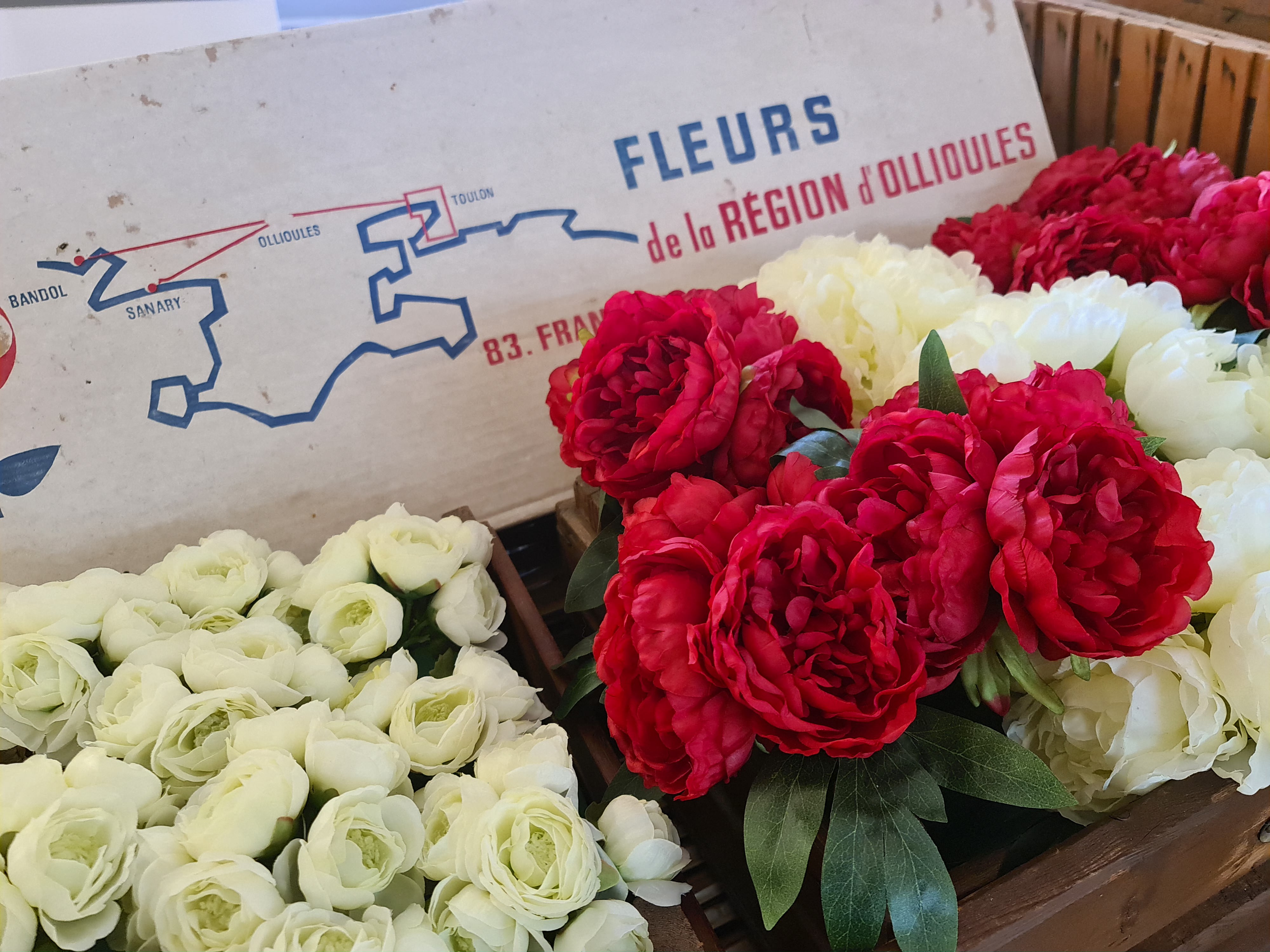 Visite comment�e du Mus�e de la Fleur et de l'Olivier #JEP2026