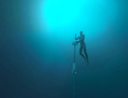 R�alit� virtuelle: Dolphin Man