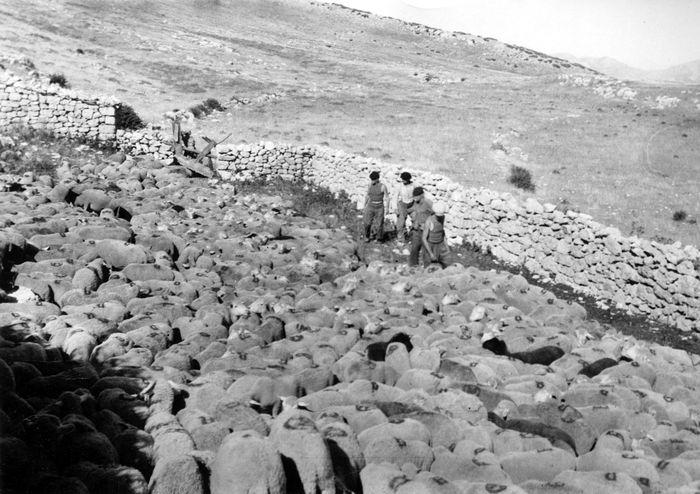 Exposition �Paysages fa�onn�s�