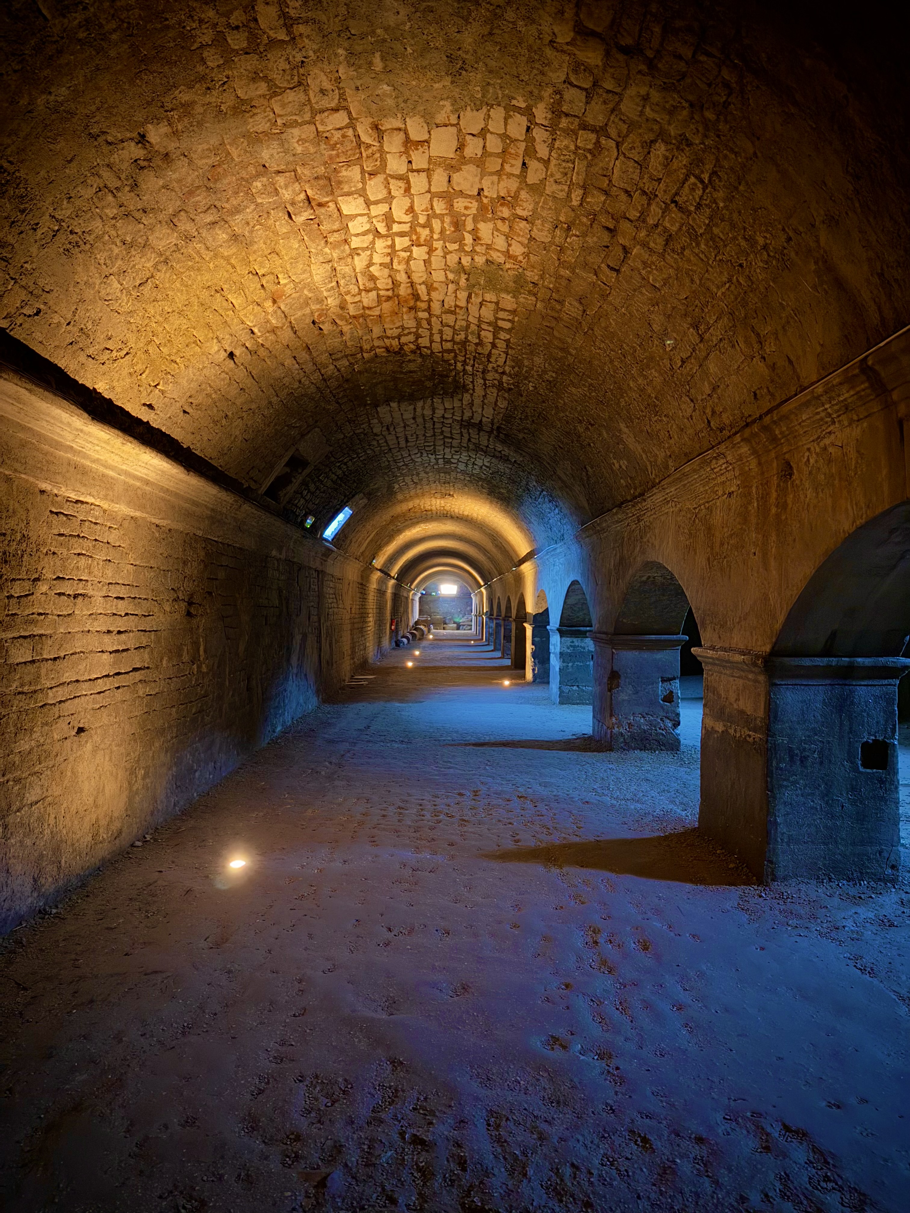 Visite immersive des cryptoportiques