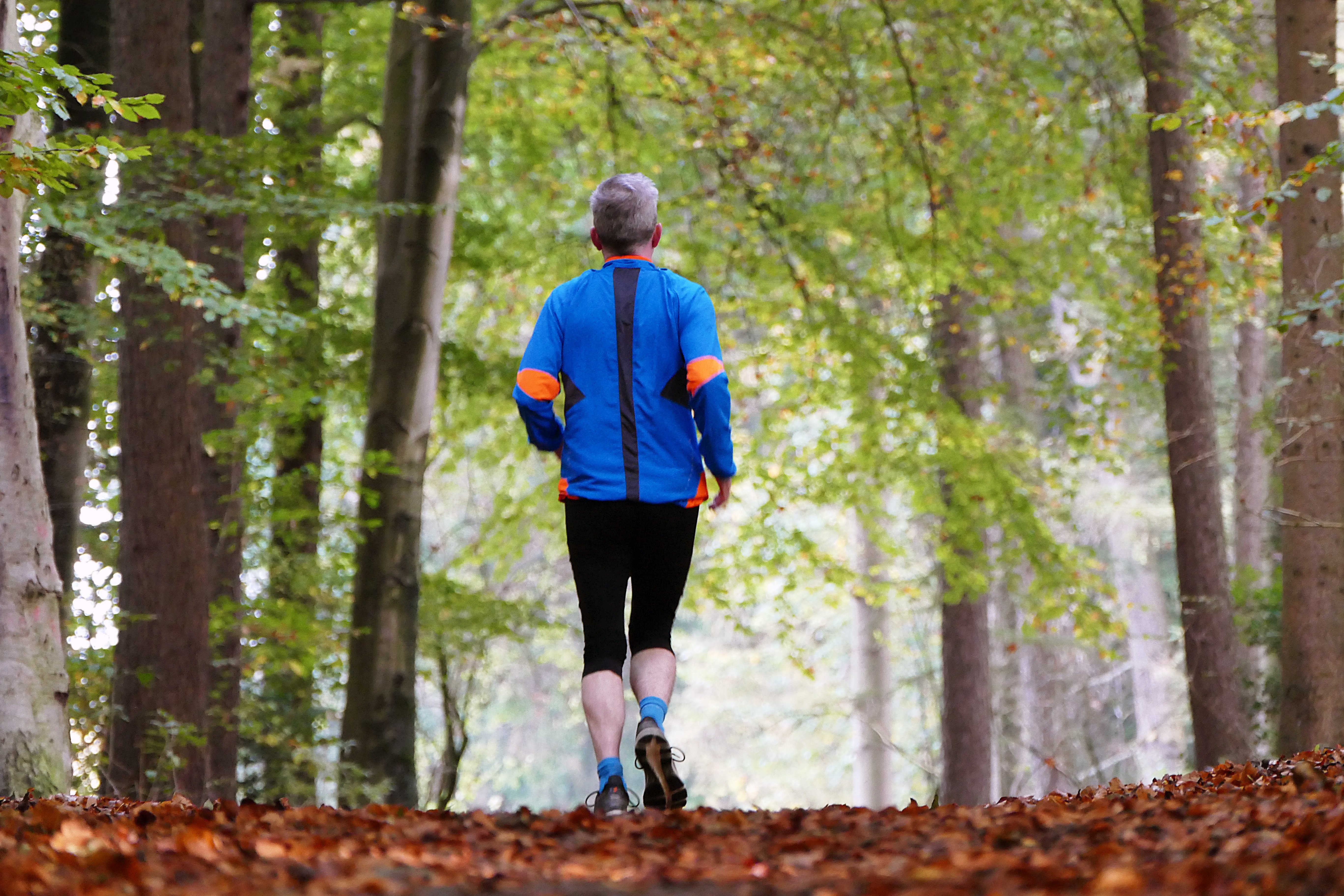 Sport s�niors