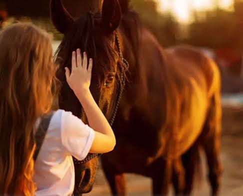 Conf�rence : M�diation animale, quand l'Homme rencontre l'animal | Cycle de Conf�rences