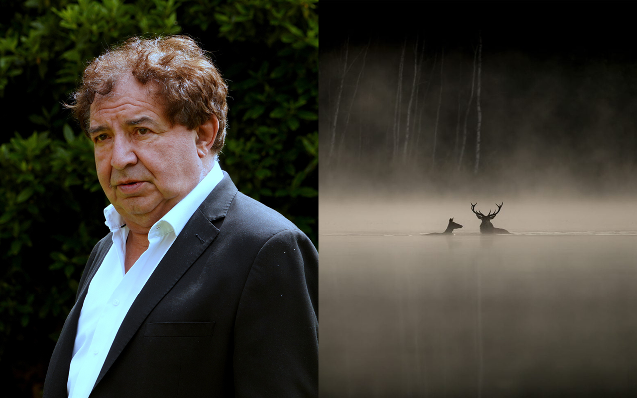 La for�t - Jean-Fran�ois Heisser