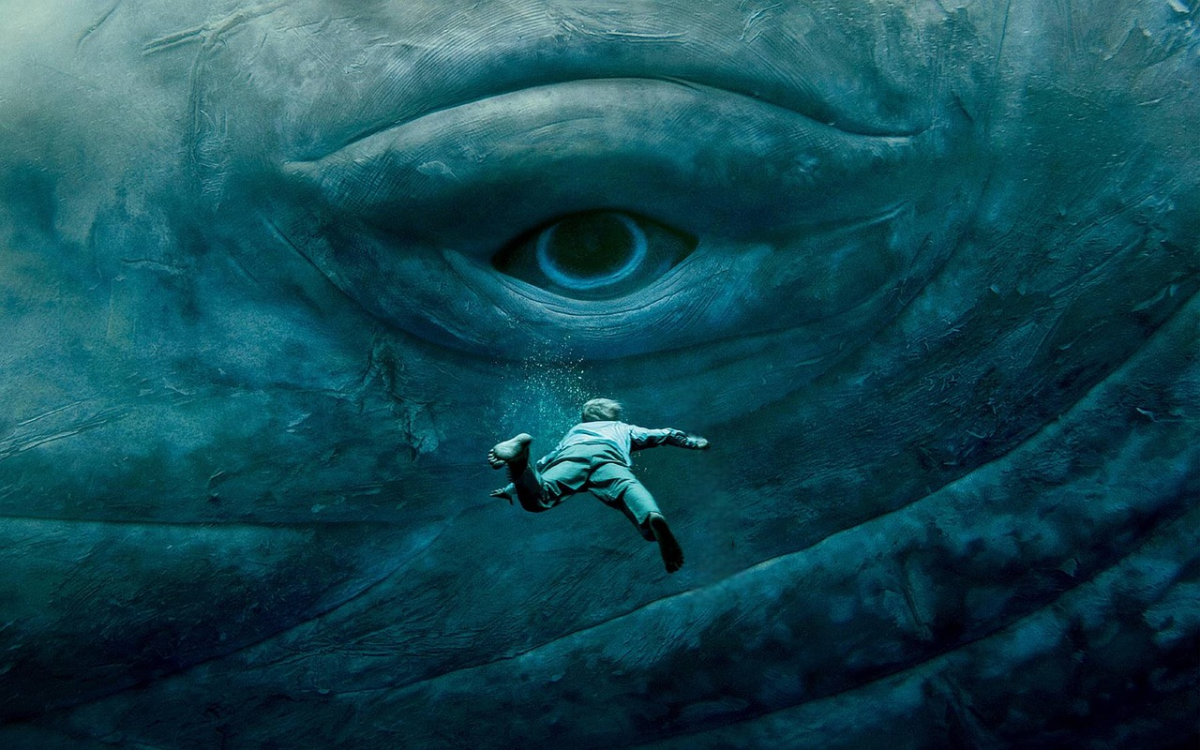 Dans l'�il de la baleine