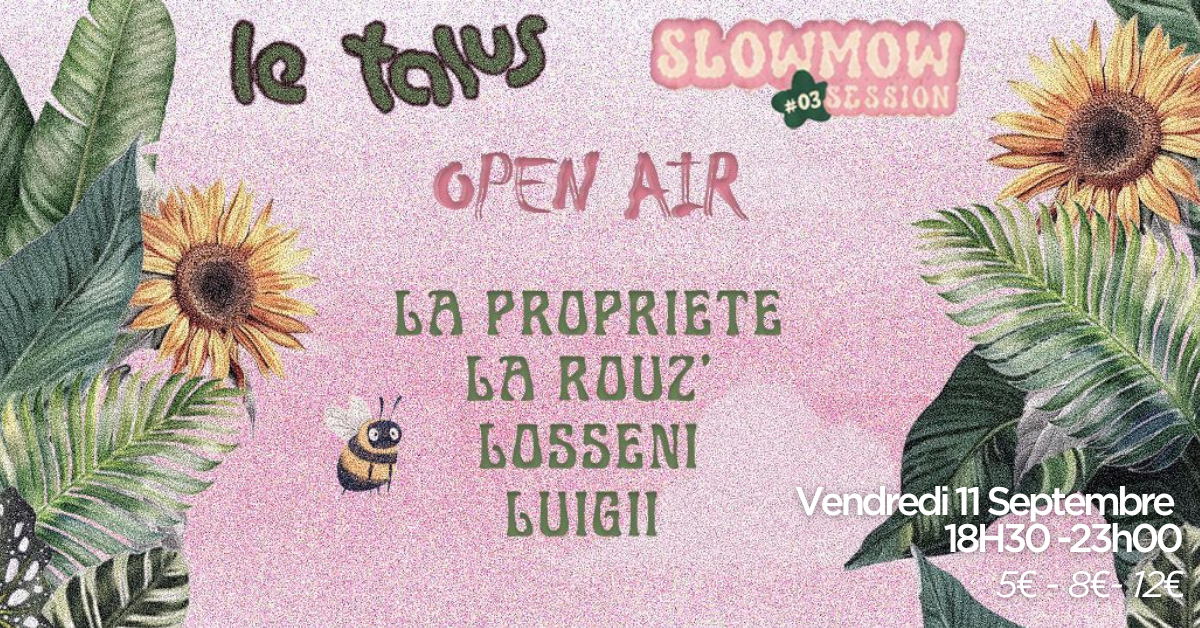 Toupie Sound X le Talus