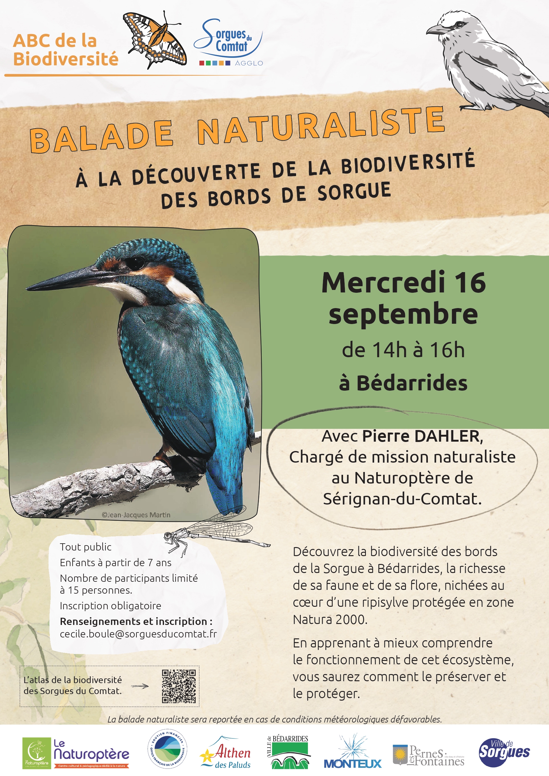 Balade naturaliste - Bords de Sorgue