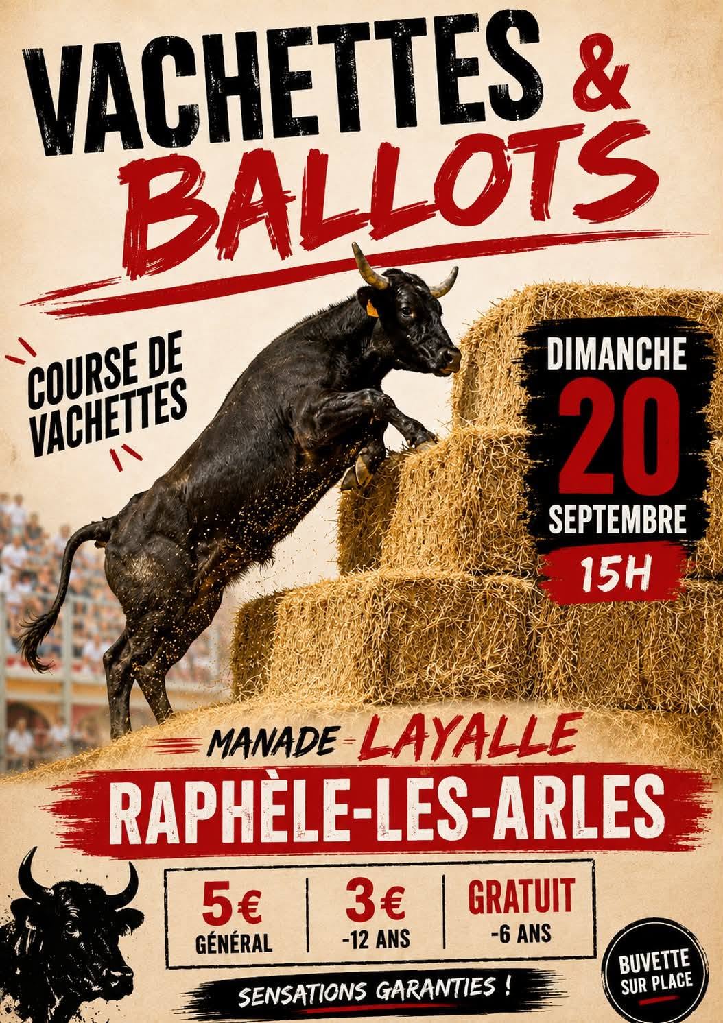 Course de vachettes & ballots