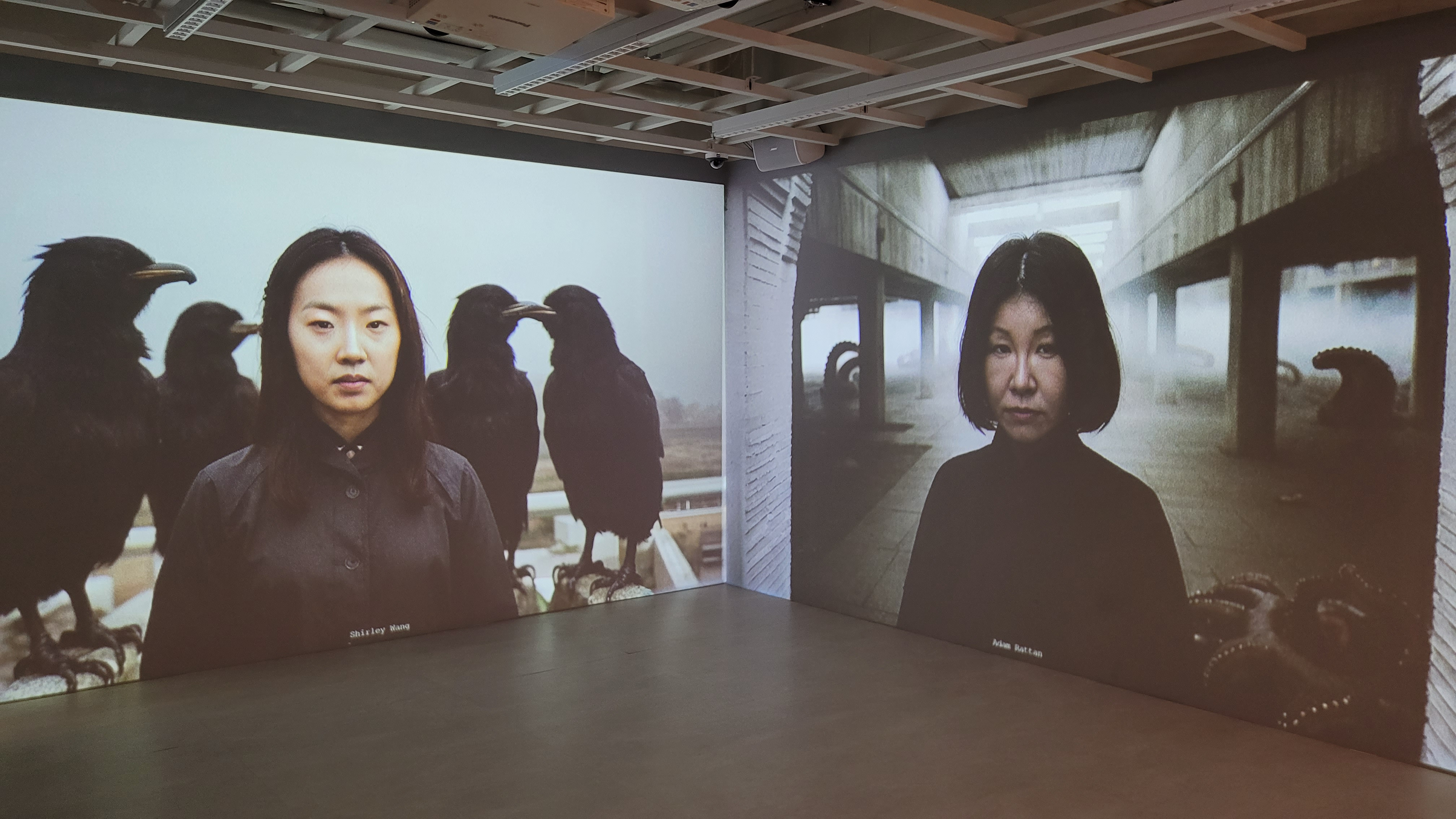 Exposition - Fabulations � reprendre la parole, r�inventer le langage