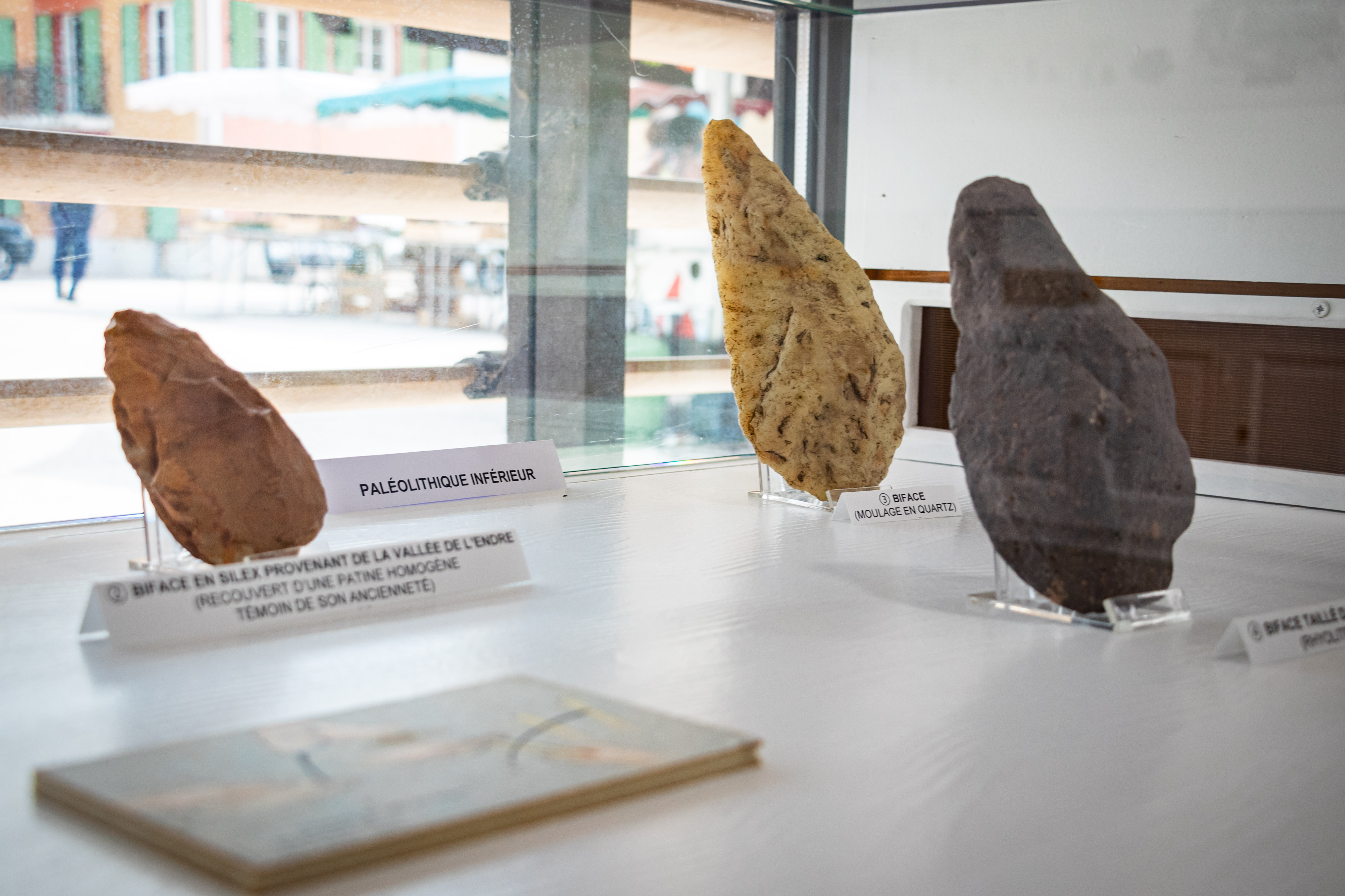 N�andertal et Sapiens : un nouveau regard sur nos origines