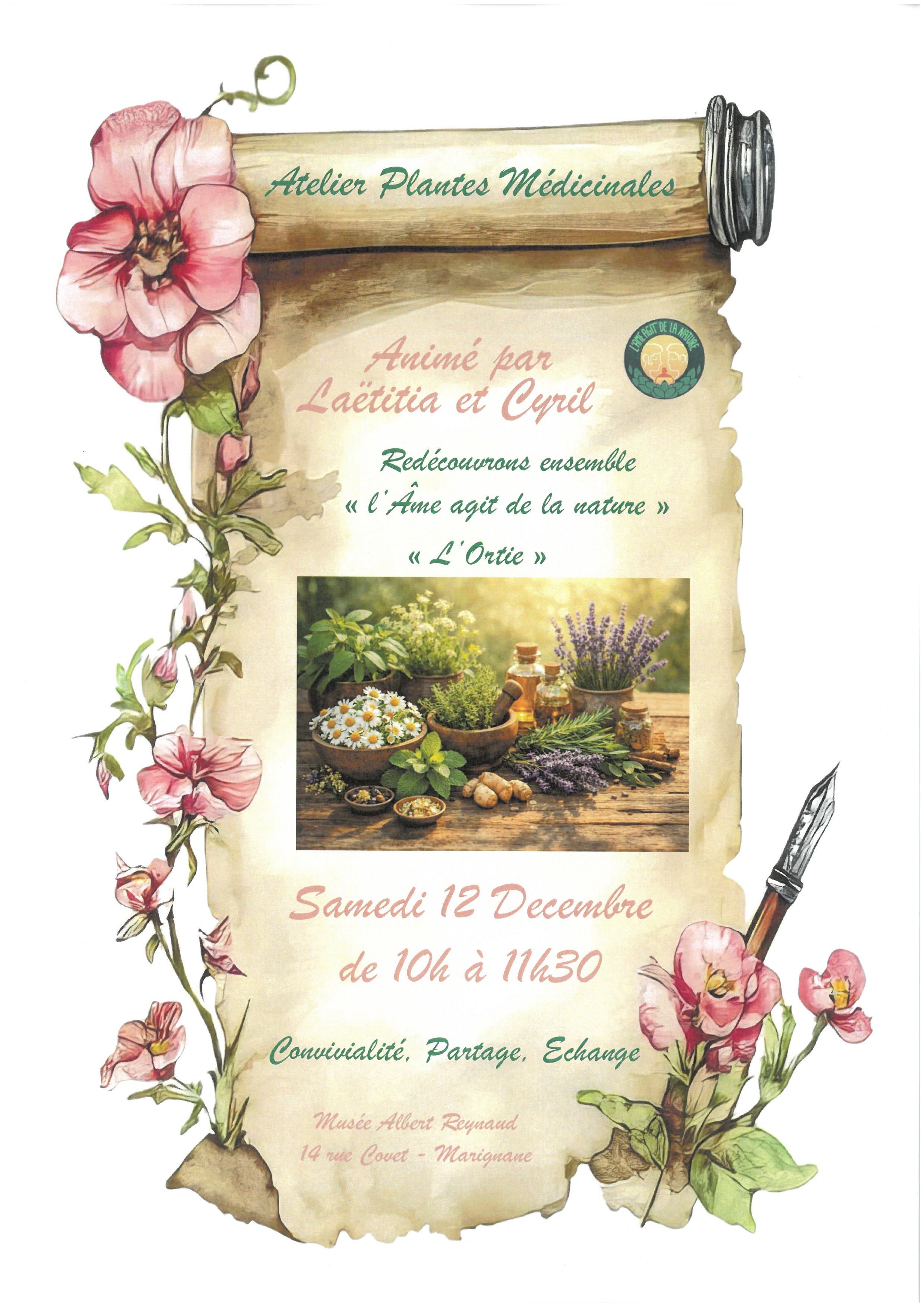 Les secrets de la nature et les plantes m�dicinales : L'ortie