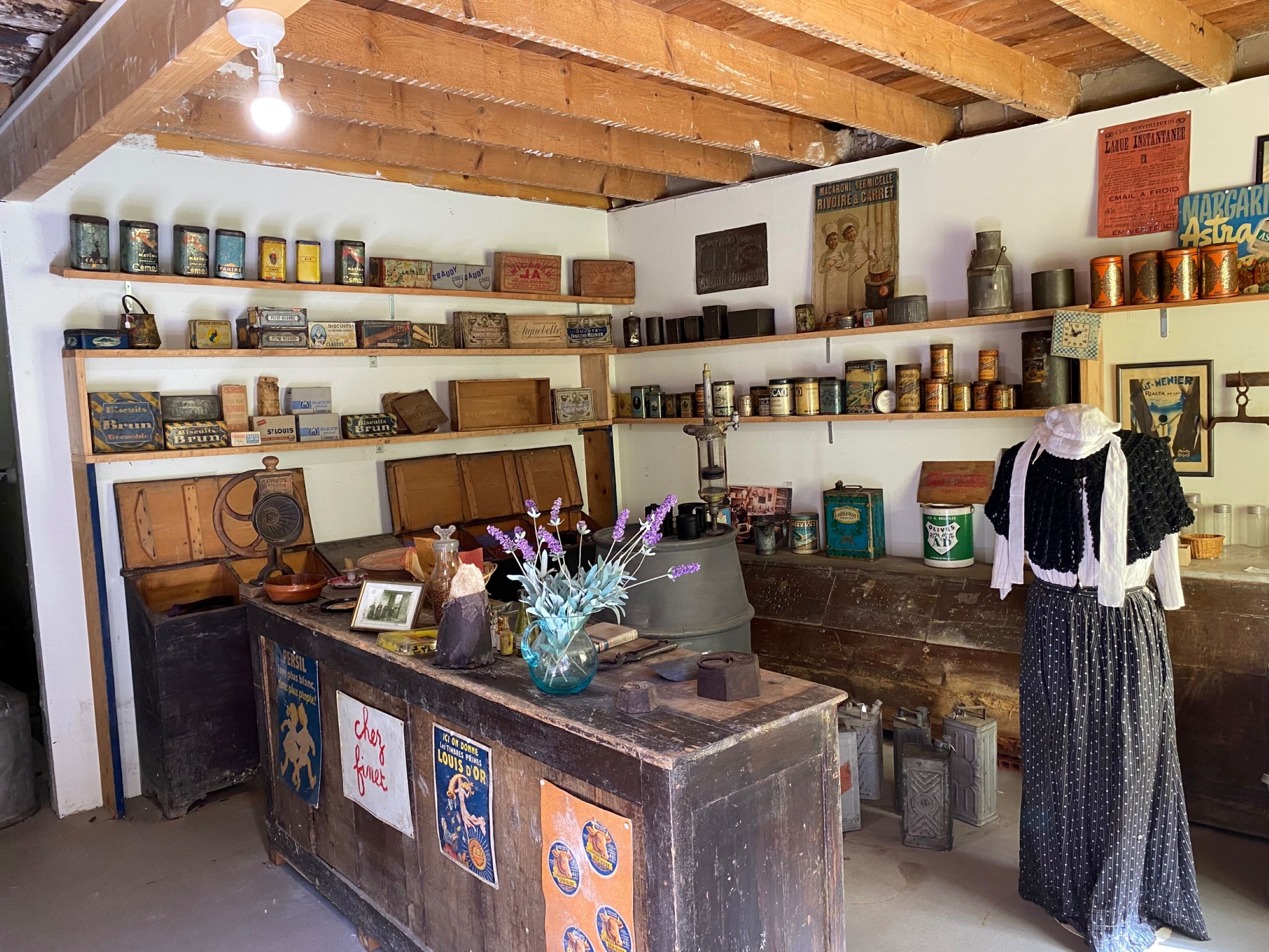 Visite de la Collection Alberti