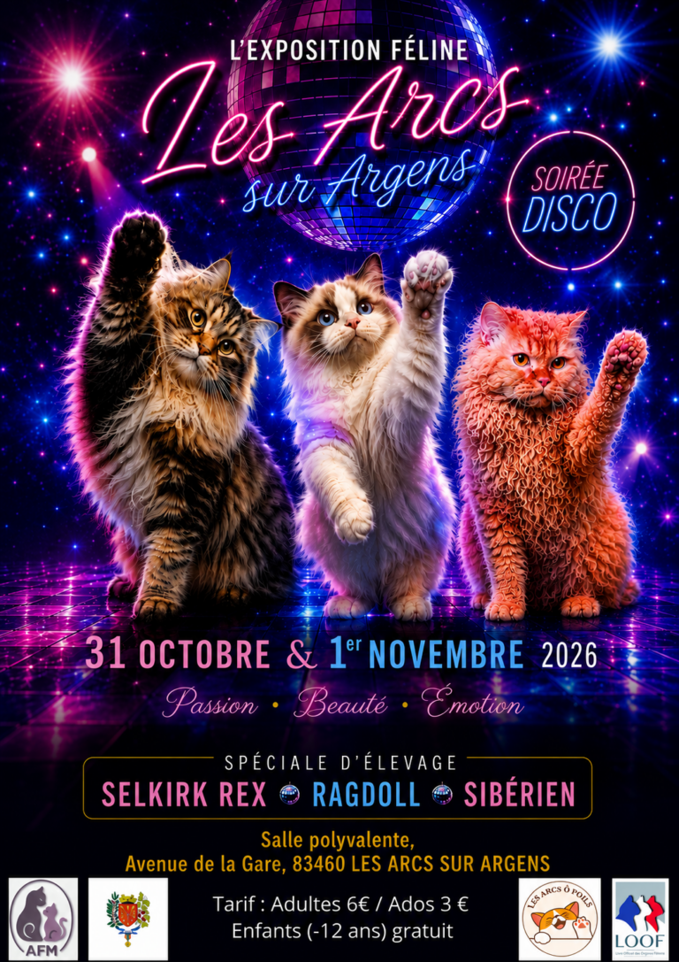 Exposition f�line internationale sp�cial Selkirk Rex Ragdoll et Sib�rien