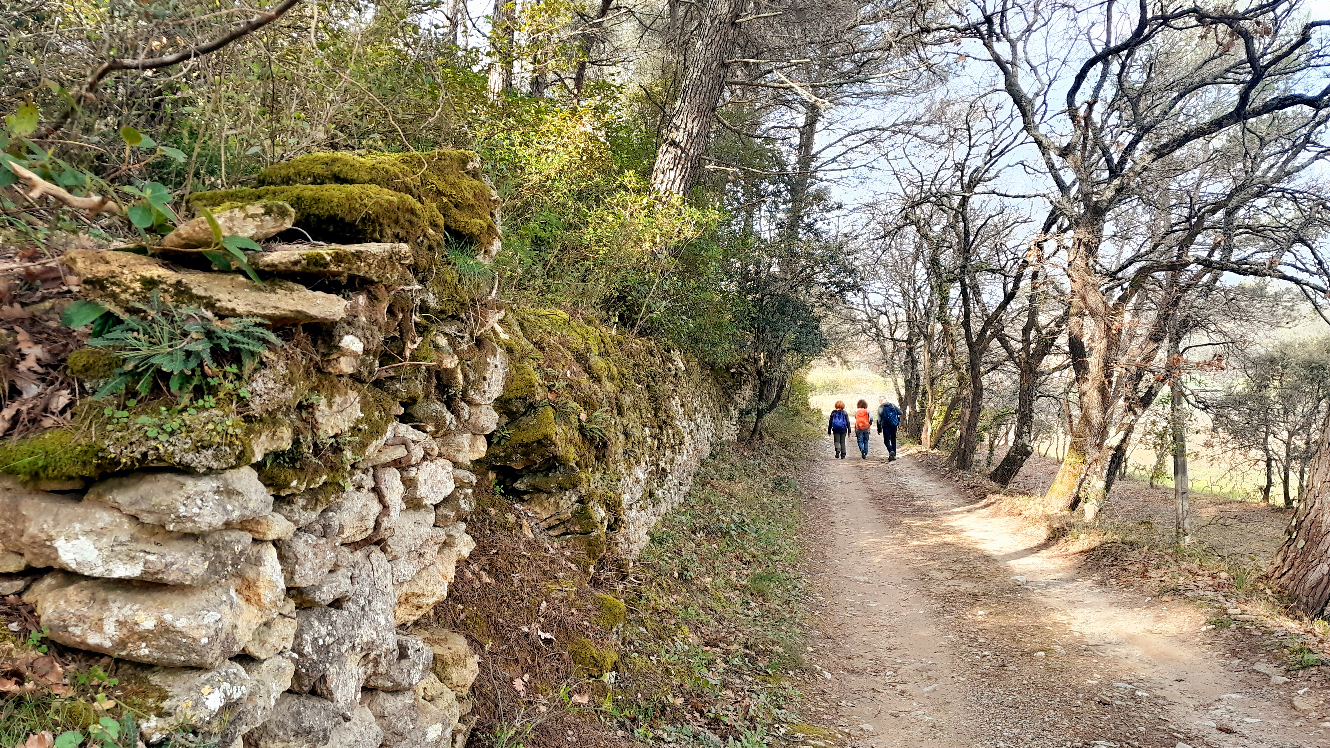 Sortie buissonni�re 