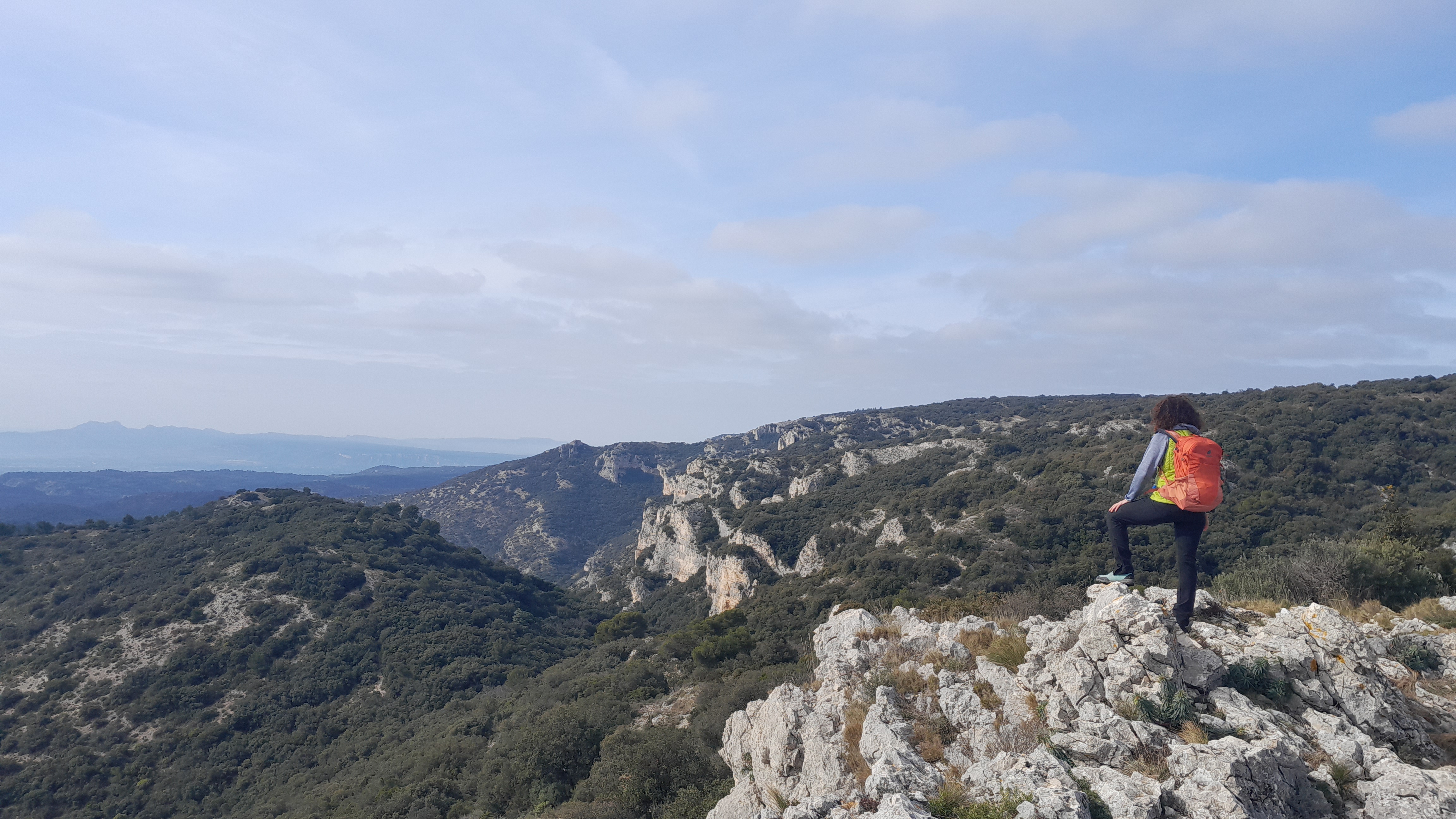 Sortie buissonni�re 