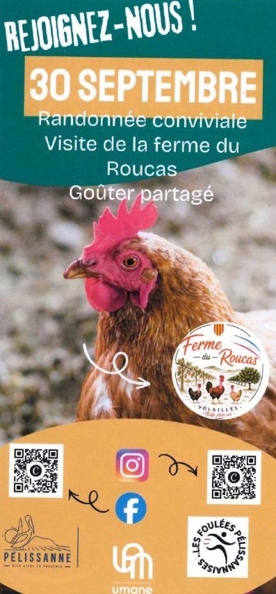 Randonn�e et visite conviviale avec le Foyer de la Route du Sel