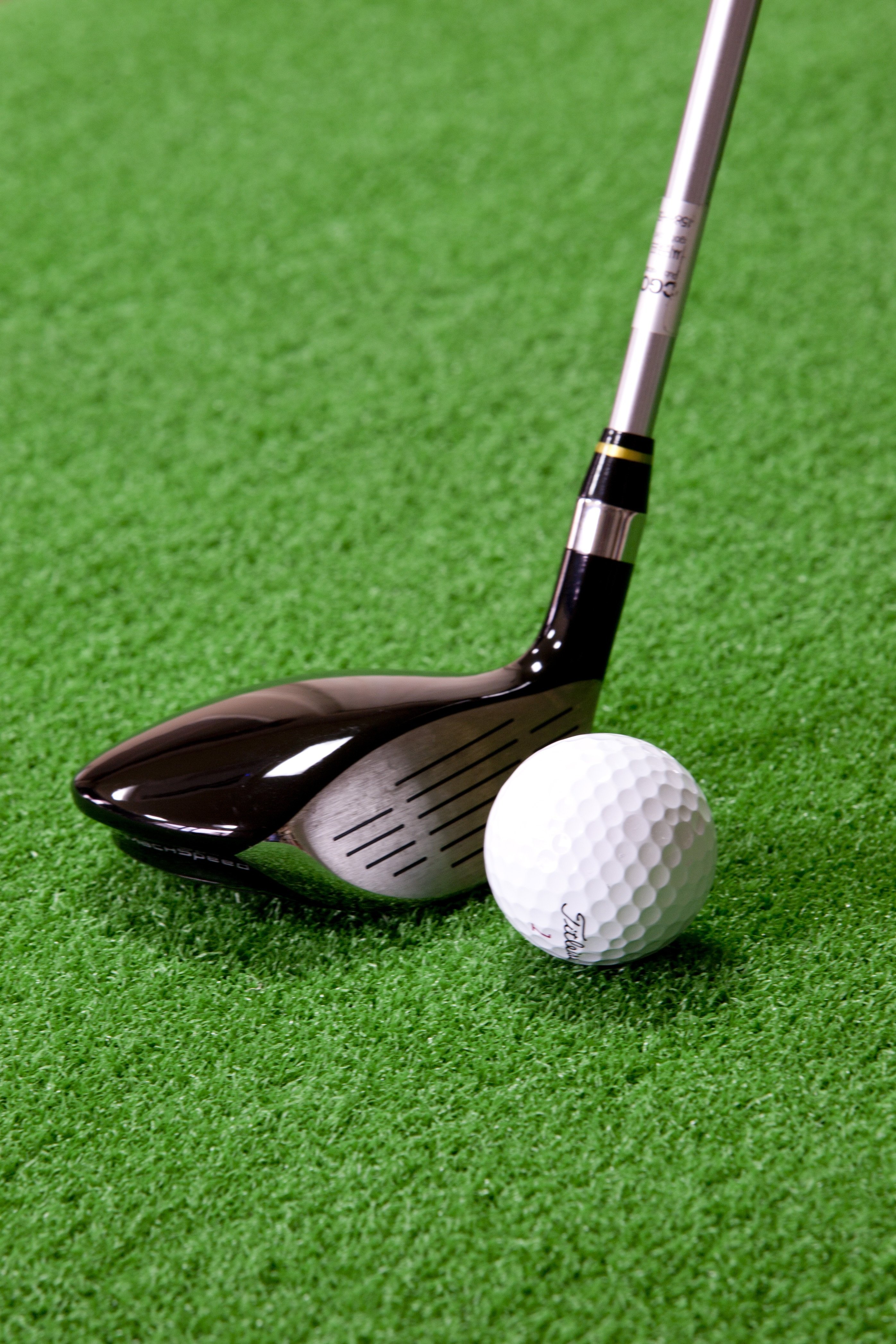 Atelier sportif : D�couverte du golf