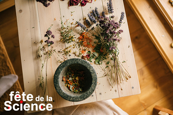 Les sauvageonnes comestibles de nos chemins - F�TE DE LA SCIENCE