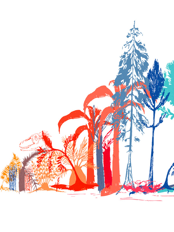D�fi Dino Dessins
