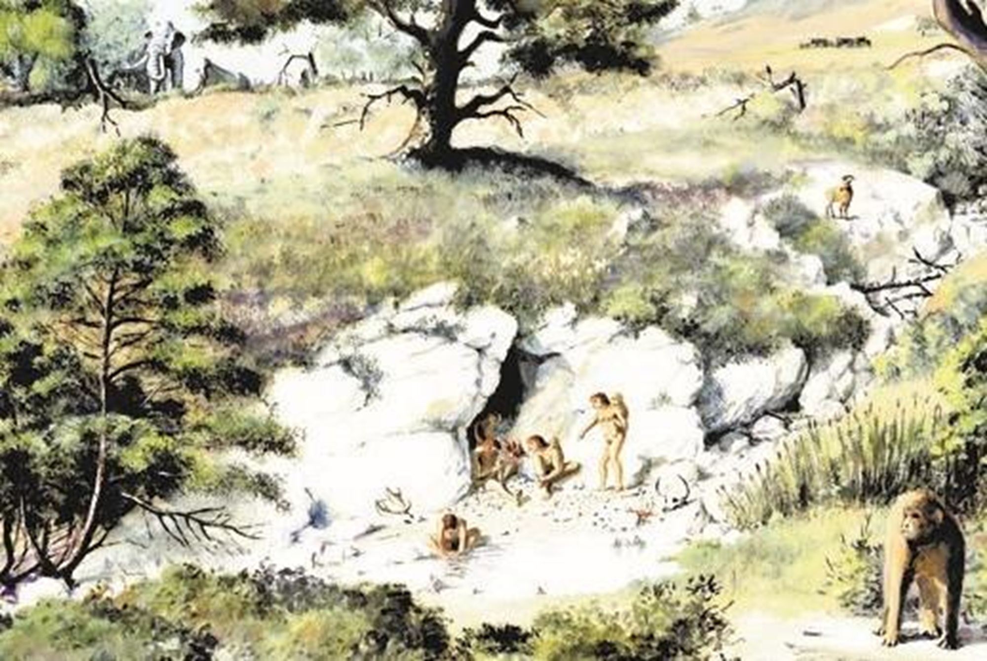 La F�te de la Science au Mus�e de Pr�histoire r�gionale de Menton