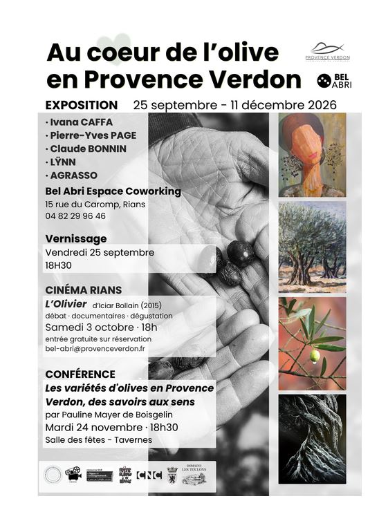 Conf�rence : Les  vari�t�s d'olives en Provence Verdon, des savoirs aux sens
