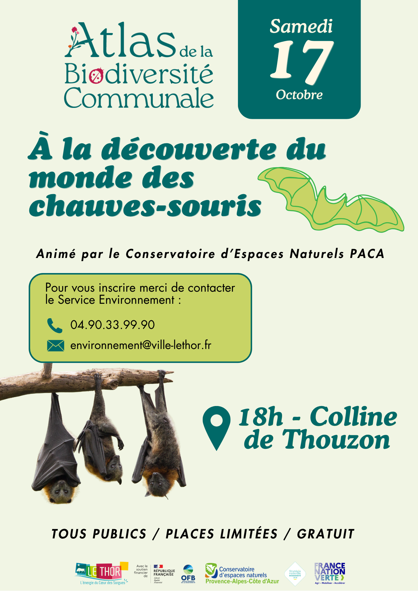 � la d�couverte du monde des chauves-souris