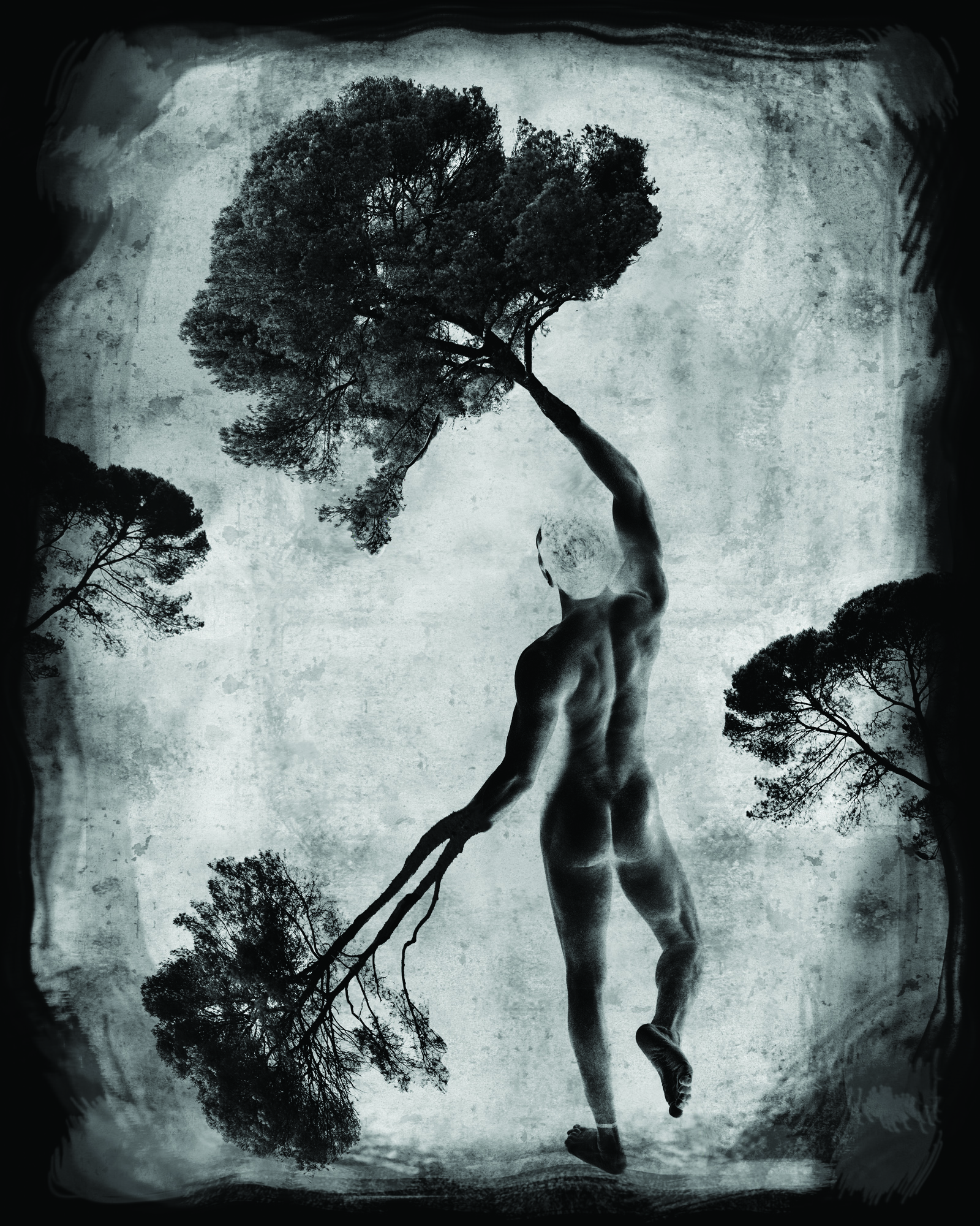 Exposition Daniel Nassoy : La nature et l'homme