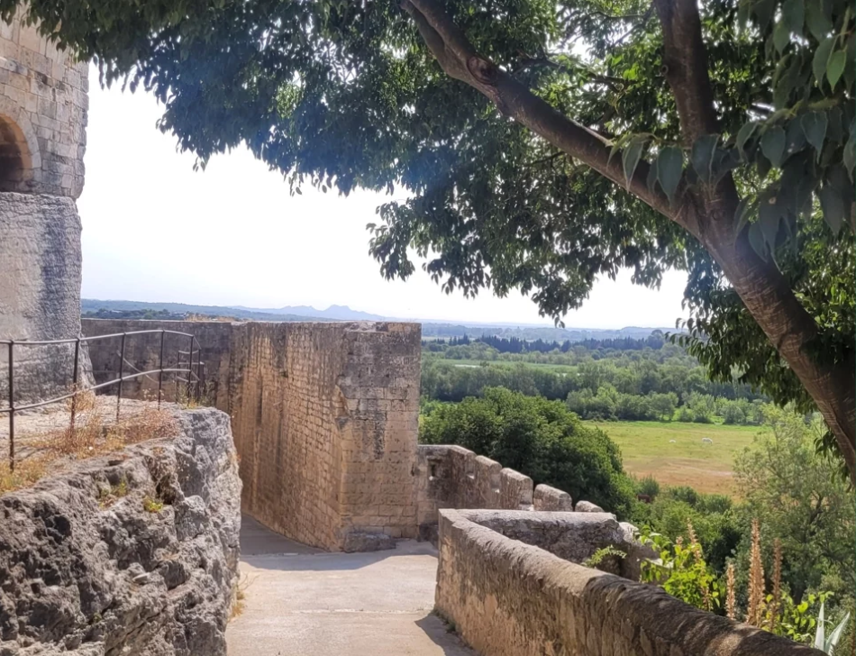 Entre Rh�ne et Alpilles, la Vall�e des Baux un dialogue entre les humains et l�eau