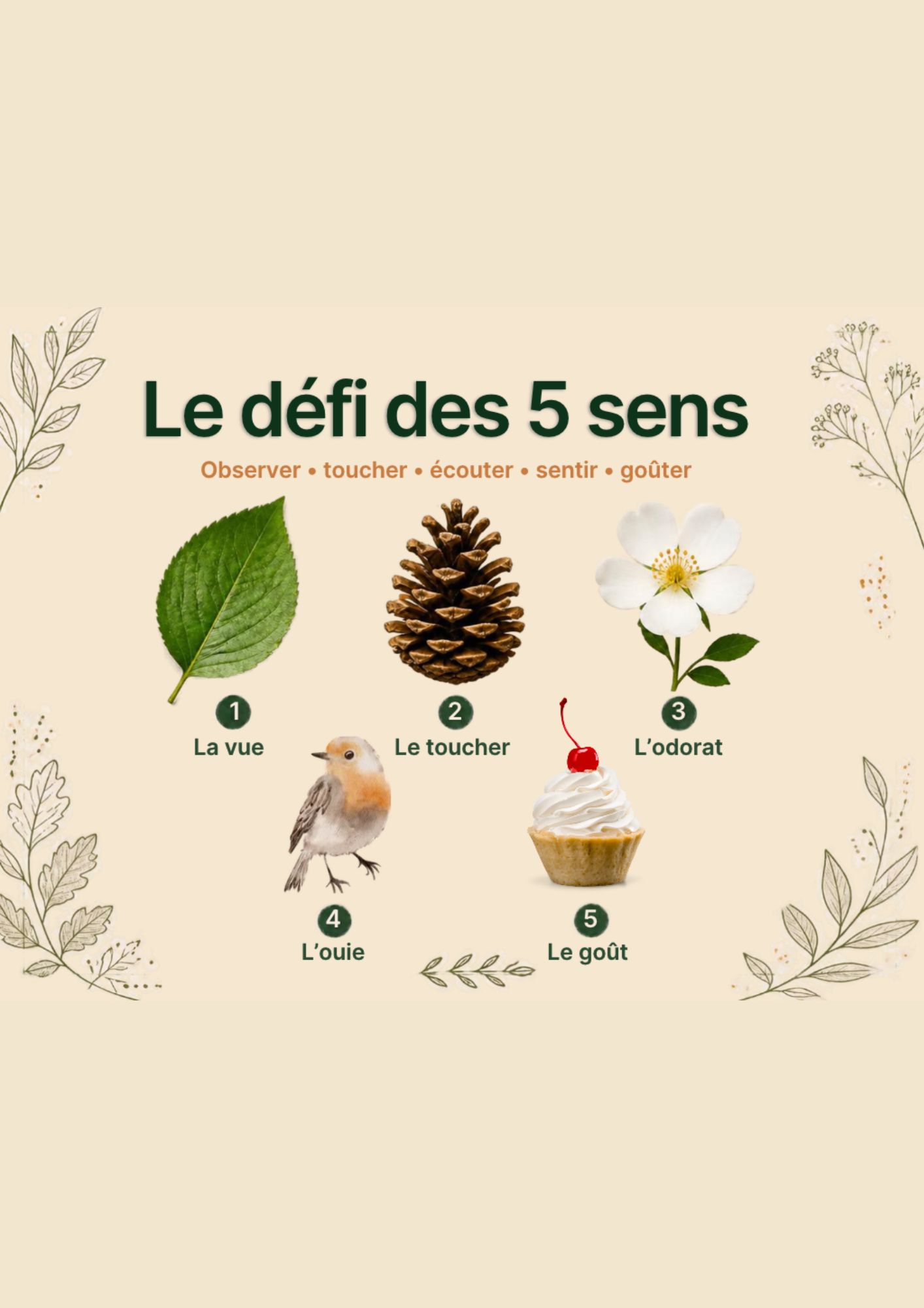 Pichoun'ventures d'automne : D�fi des 5 sens