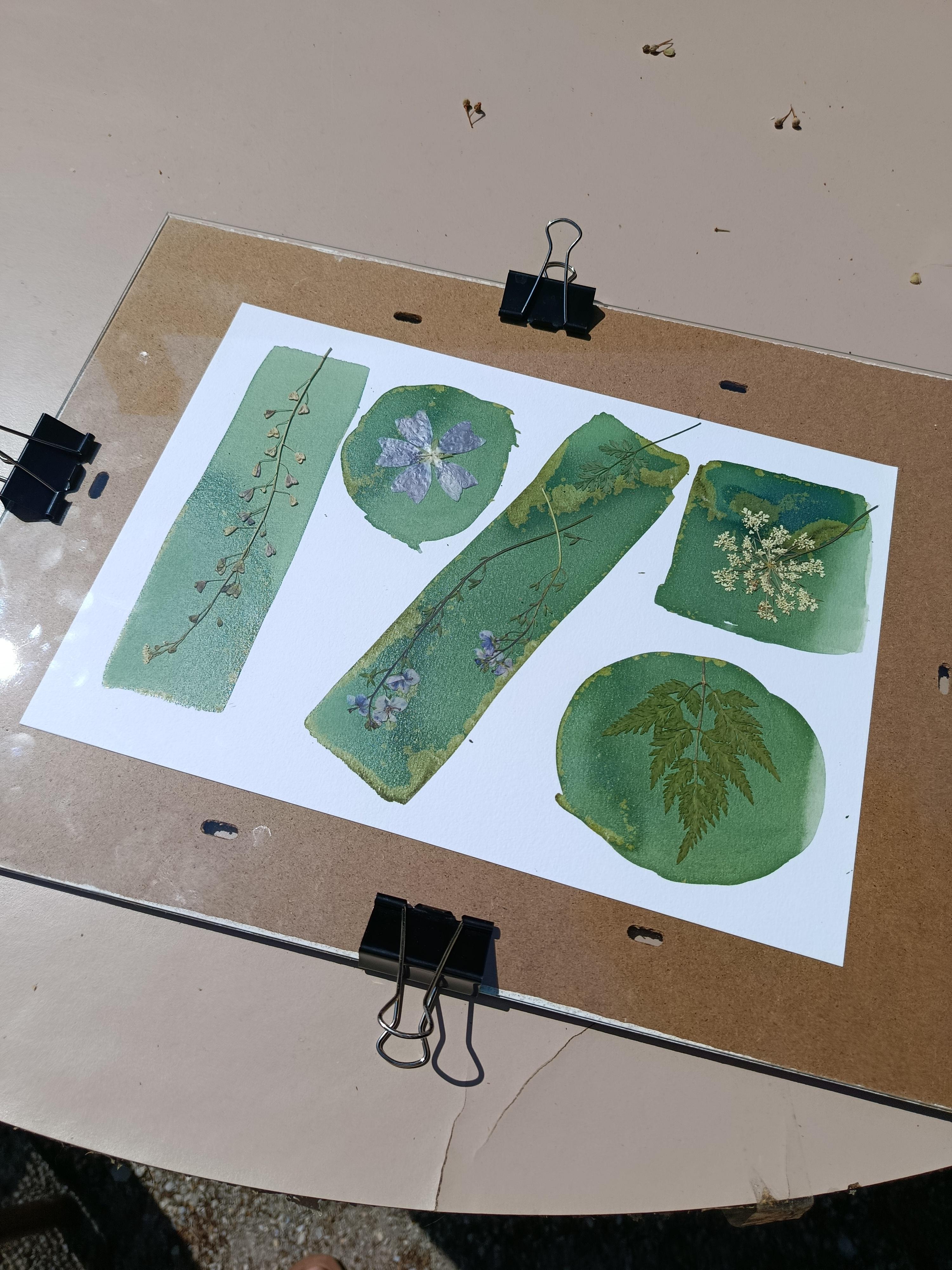 Atelier d�couverte du cyanotype