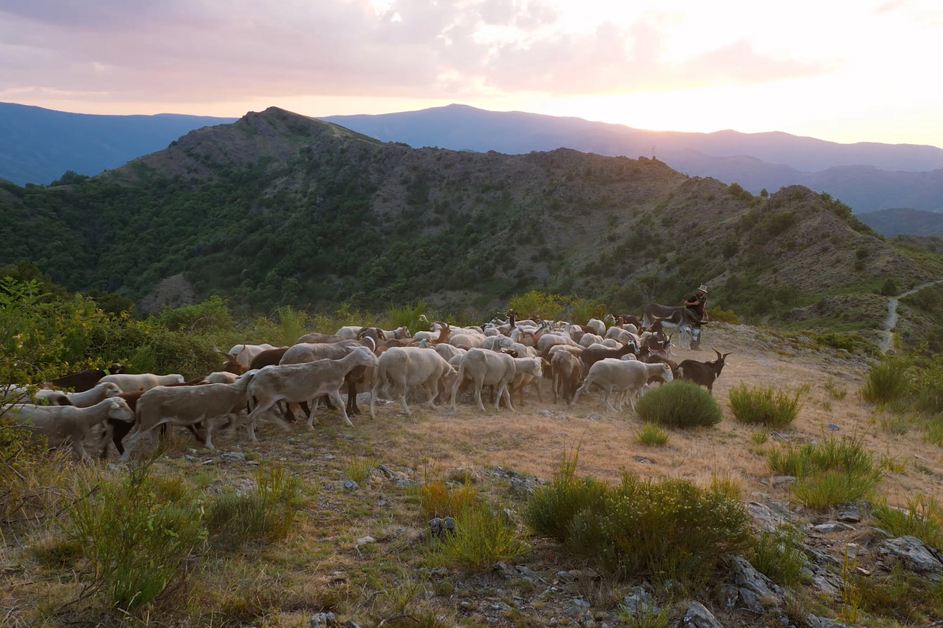 �tre(s) vivants - Festival Alimenterre